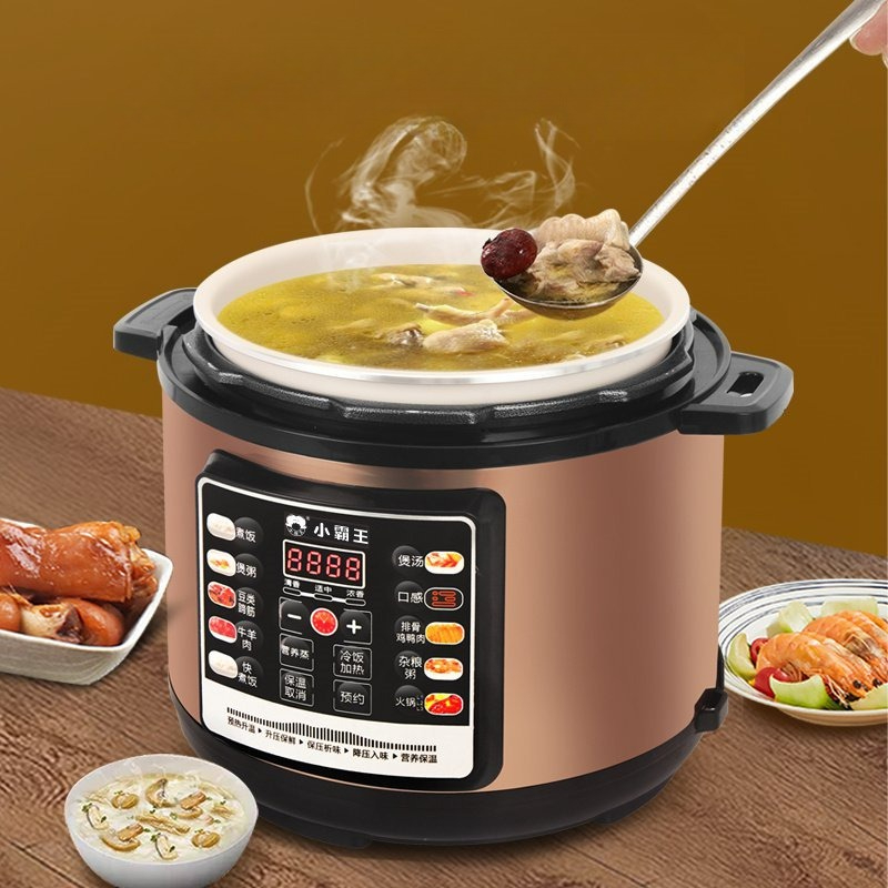 Programmable Electric Pressure - Instant Pot Pressure Cooker review and price