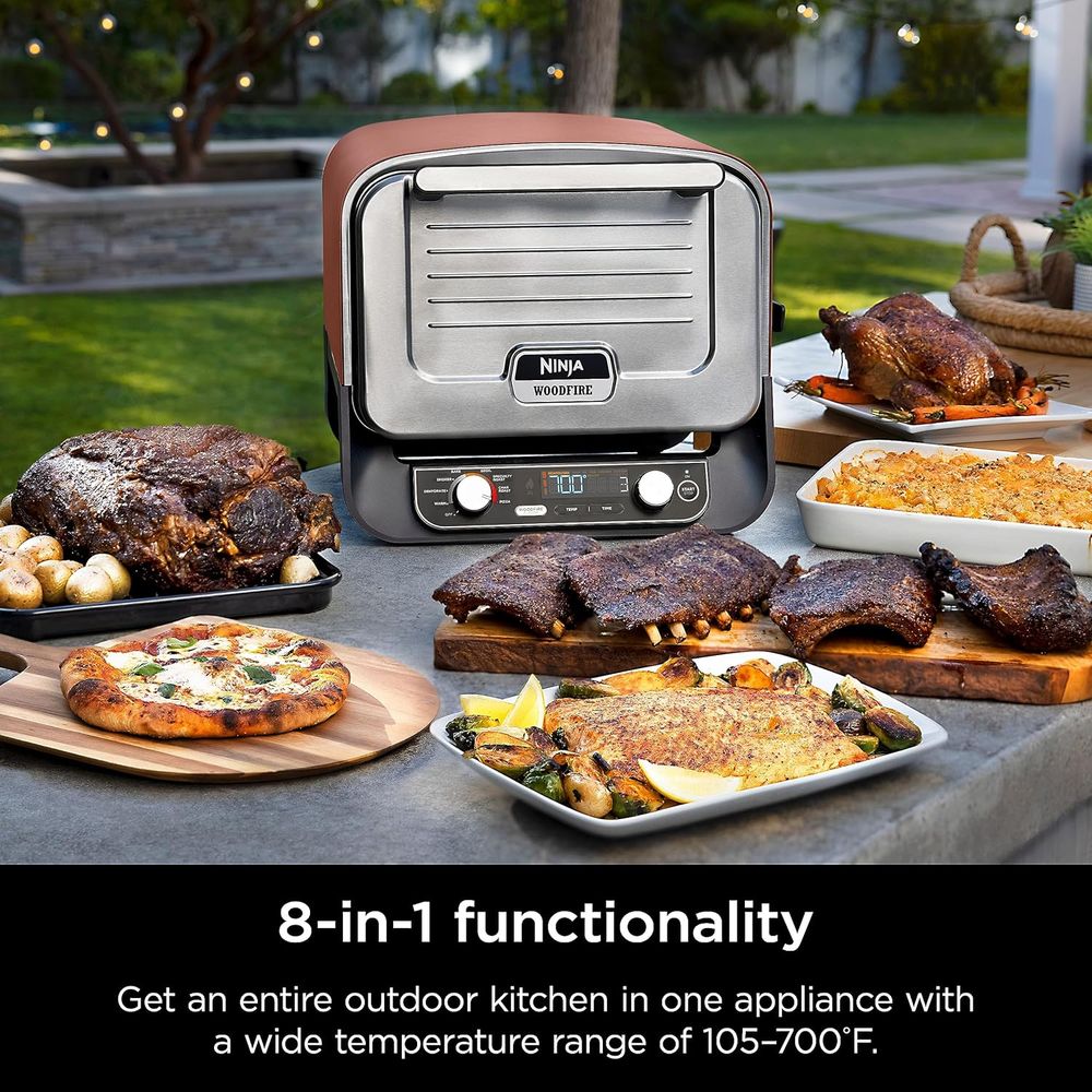 Portable 8-in-1 Electric Roast - Electric Smoker Bbq review and price