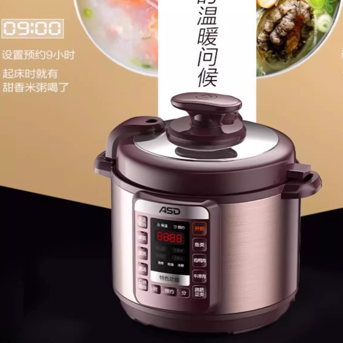 Aishida electric pressure cook - Instant Pot Pressure Cooker review and price