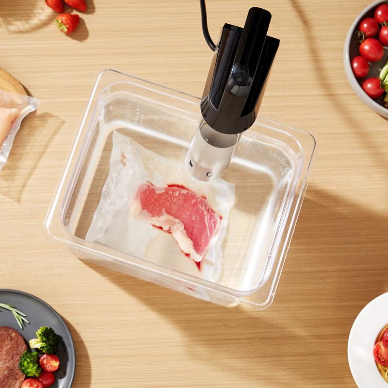 Sous Vide Precision Cooker, 11 - Sous Vide Immersion review and price