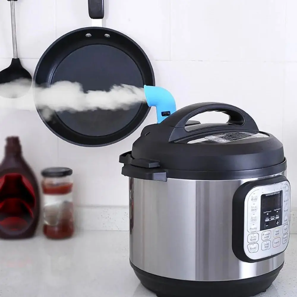 Diverter Pressure Cooker Steam - Instant Pot Pressure Cooker review and price