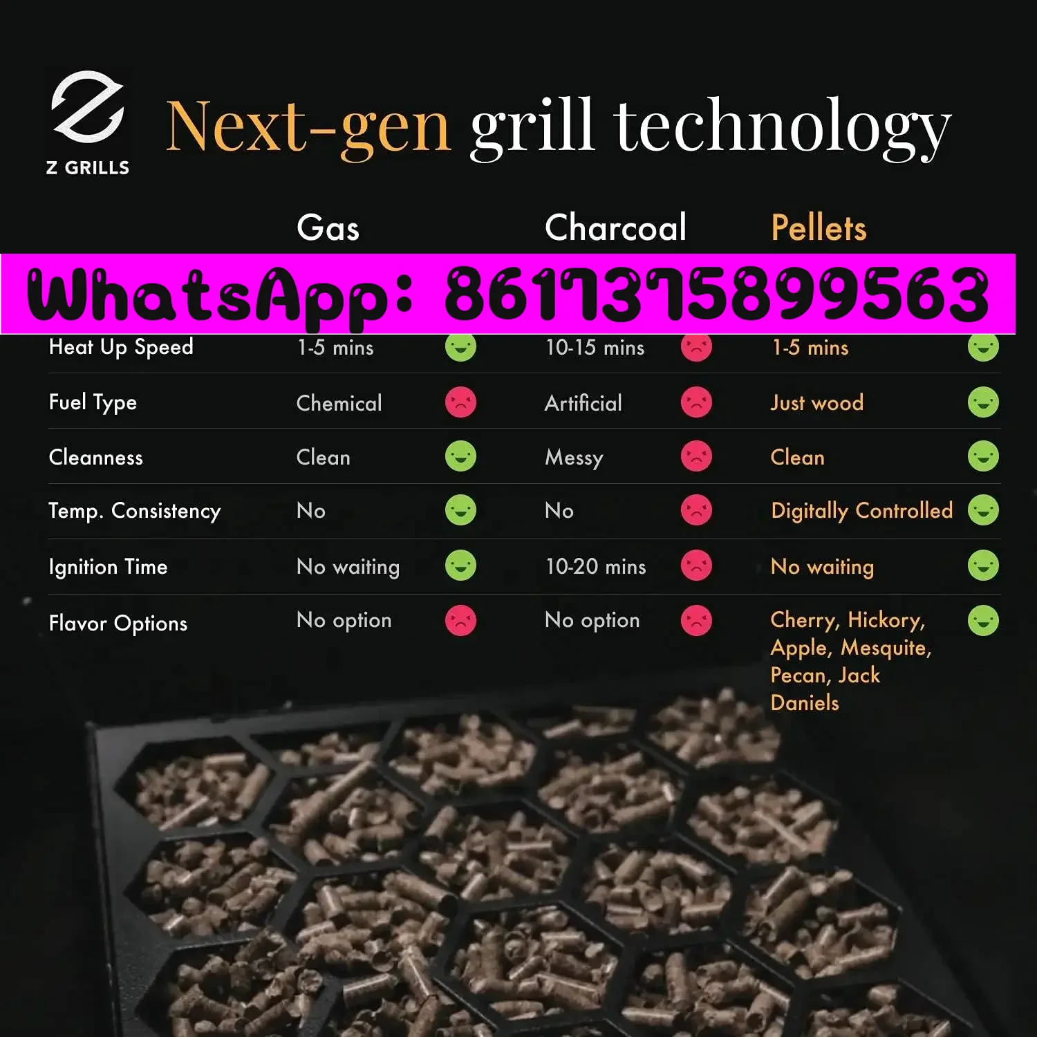 For Z GRILLS ZPG-450A 2024 Upg - Electric Smoker Bbq review and price