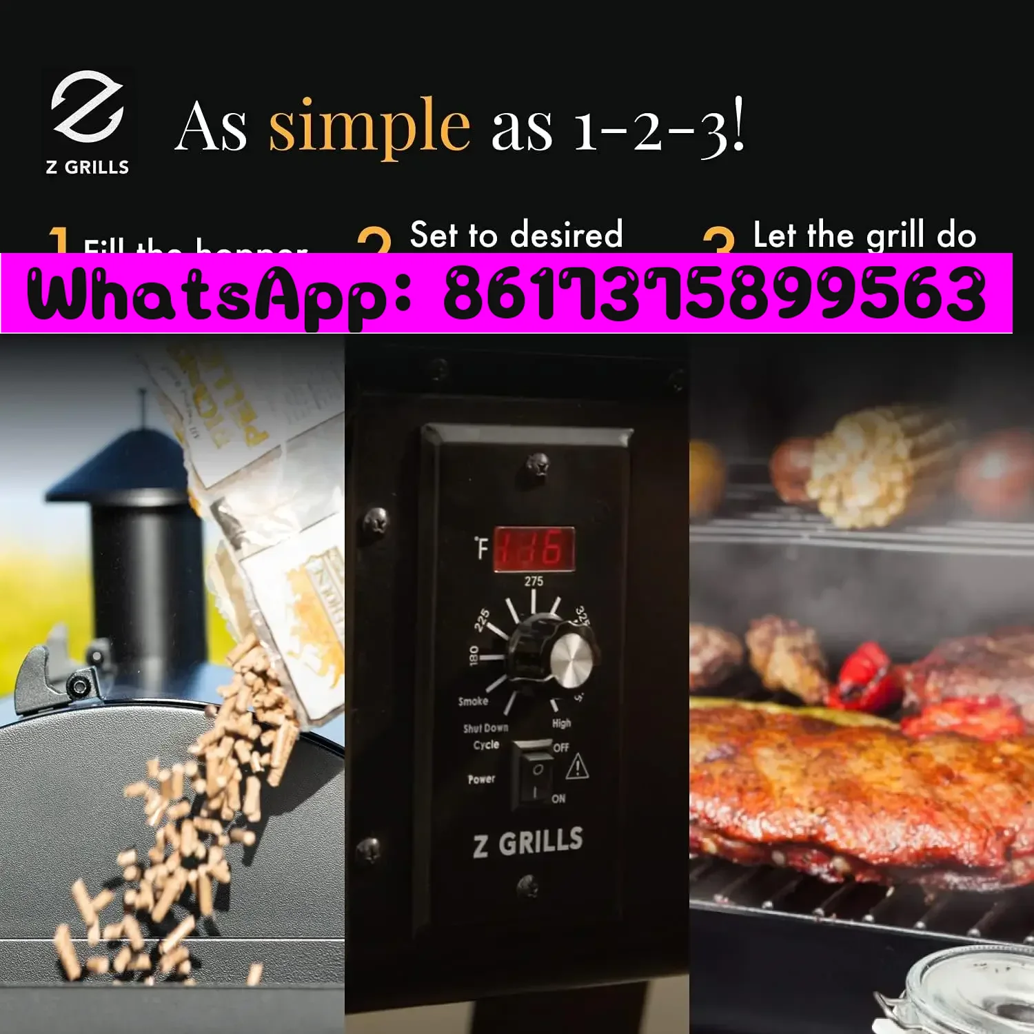 For Z GRILLS ZPG-450A 2024 Upg - Electric Smoker Bbq review and price