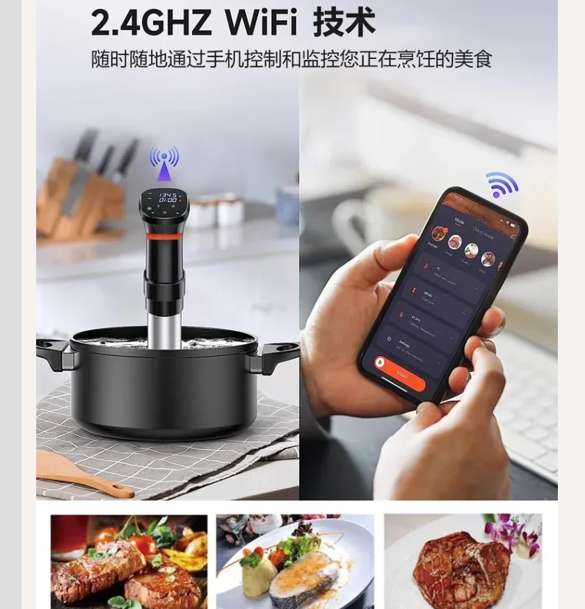 220V Sous Vide Precision Cooke - Sous Vide Immersion review and price