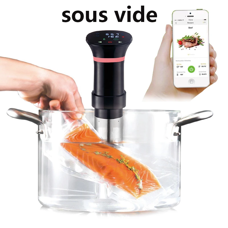 220V Sous Vide Precision Cooke - Sous Vide Immersion review and price