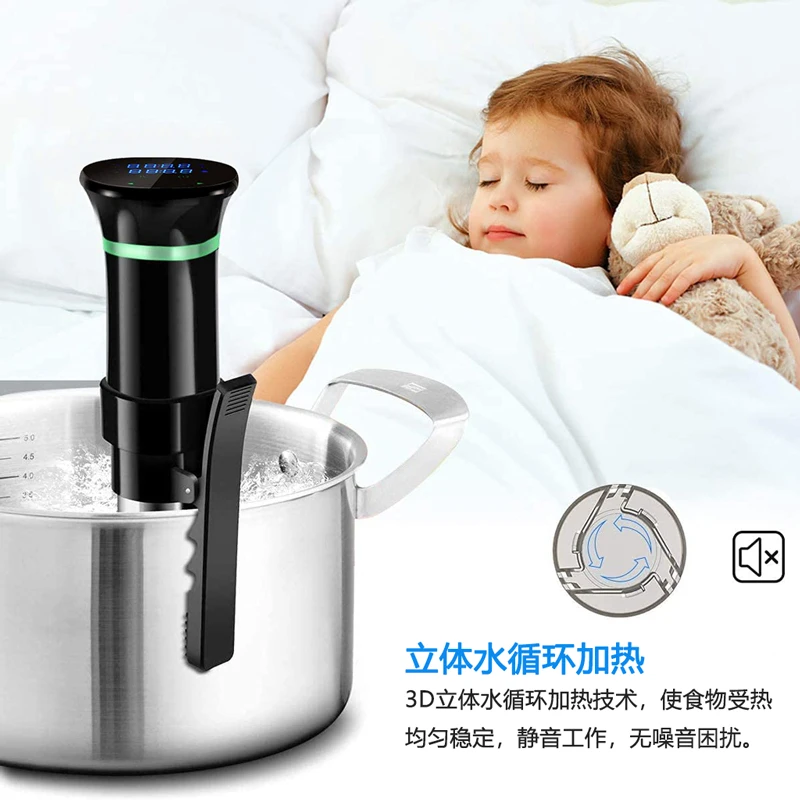 220V Sous Vide Precision Cooke - Sous Vide Immersion review and price