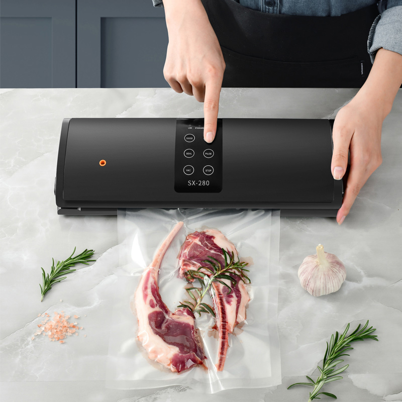 AGASHE food vacuum sealer mach - Sous Vide Immersion review and price
