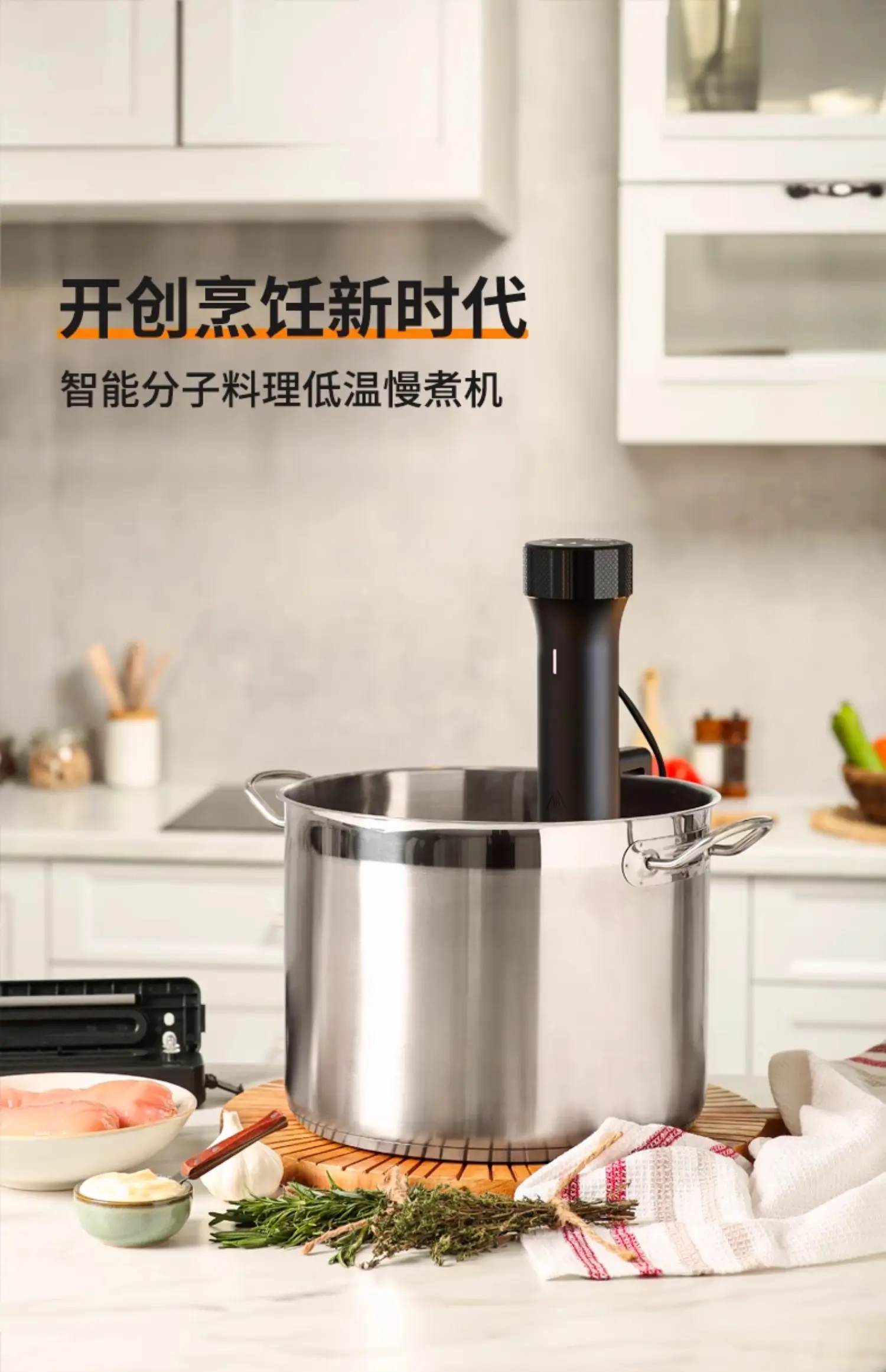 110V/220V WEVAC Sous Vide Prec - Sous Vide Immersion review and price